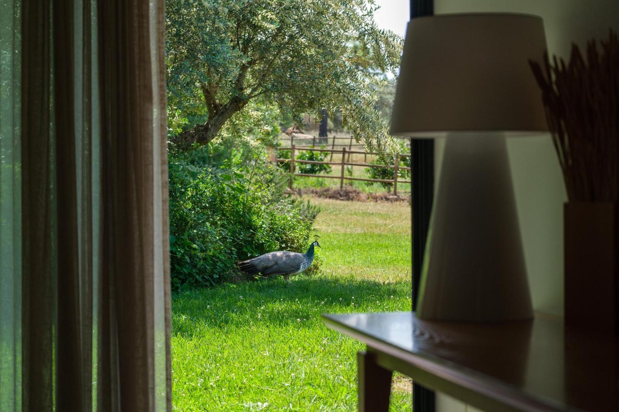 Herdade Da Cortesia Hotel Avis Eksteriør billede